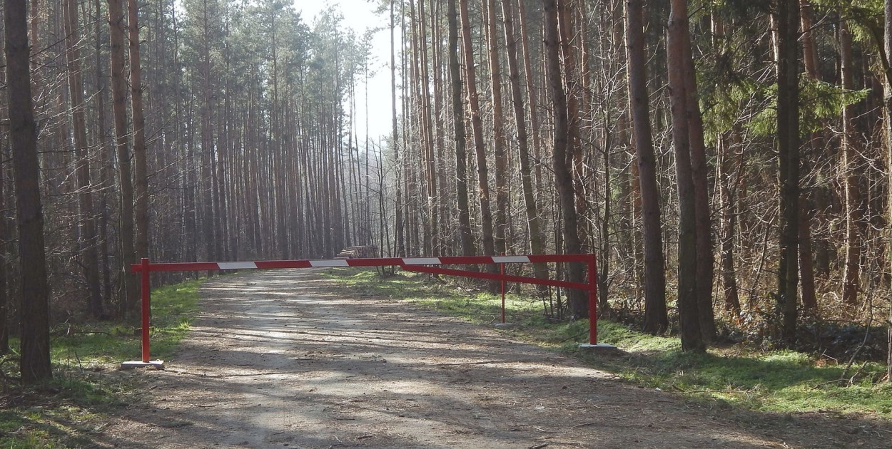 Widok szlabanów w lesie już niedługo będzie rzadkością