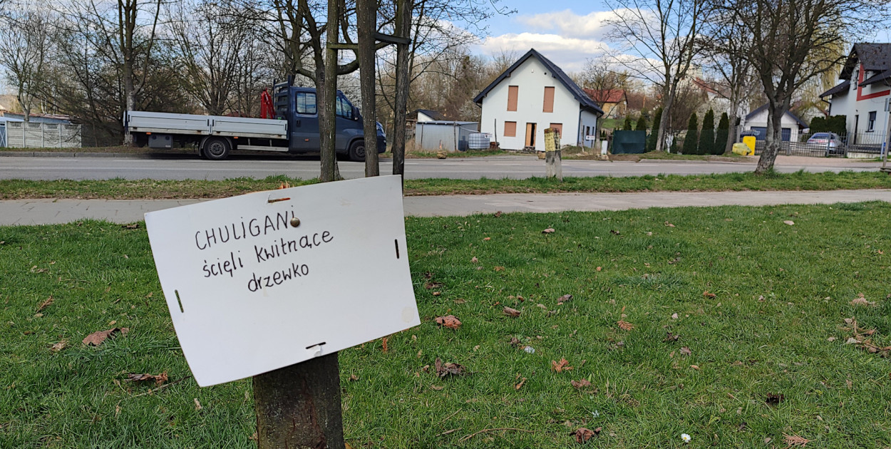 Teren zielony przy ul. Armii Krajowej na chrzanowskim osiedlu Młodości