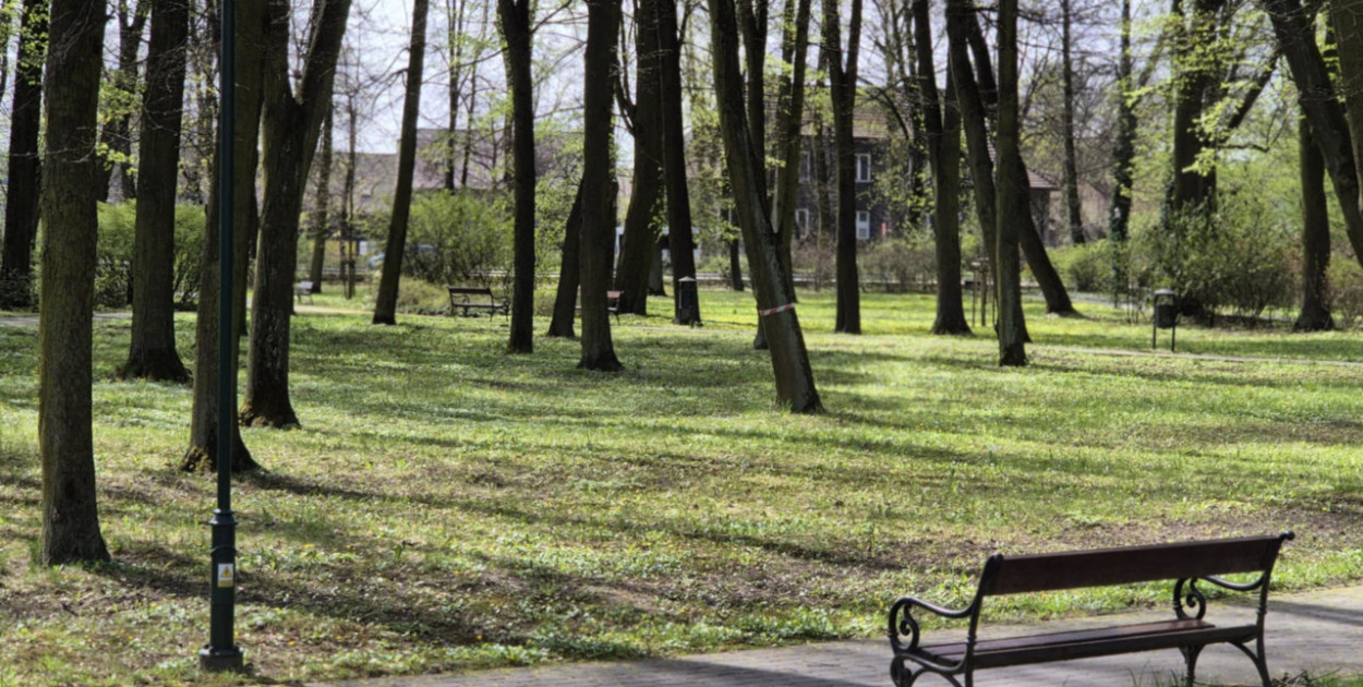 Park przy krzeszowickiej balneologii wkrótce będzie zrewitalizowany