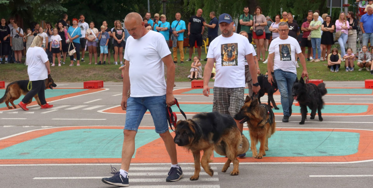 POkaz tresury psów w wykonaniu Szachty Libiąskie Dog Training. 