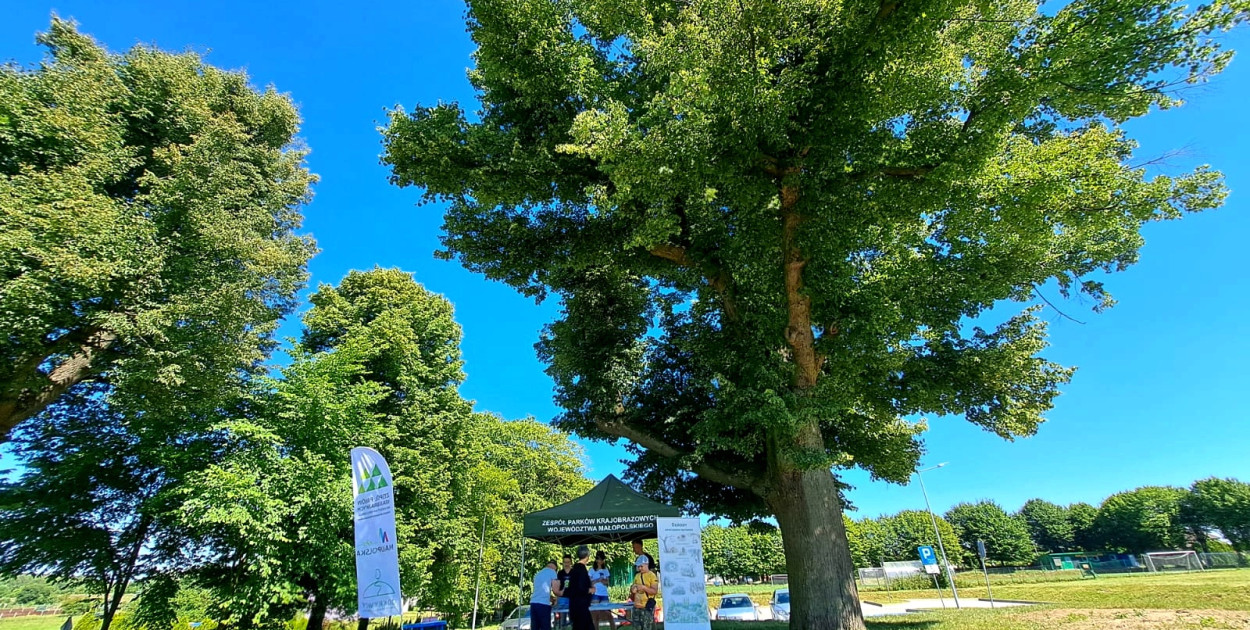 Piknik „Pod Lipą” w Pogorzycach