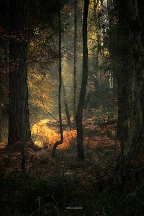 Słońcem malowane w PRZEŁOMowych Kadrach-5854