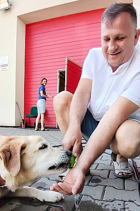 Szaleństwo pod lipami w Pogorzycach. Kto był na imprezie?-6098