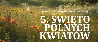 5. Święto polnych kwiatów w Czułej Stodole w Płazie-1053