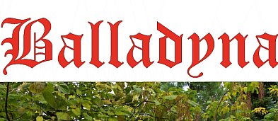 Balladyna - Libiąż-420