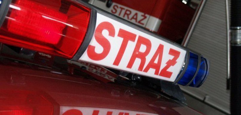 Zarośla w ogniu. Ludzie z pobliskich domów walczyli z żywiołem
