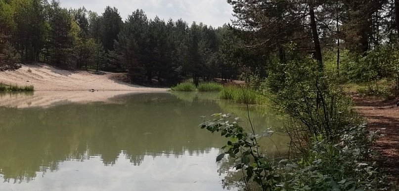 Byliście nad Zalewem Leśny Dwór? (WIDEO)