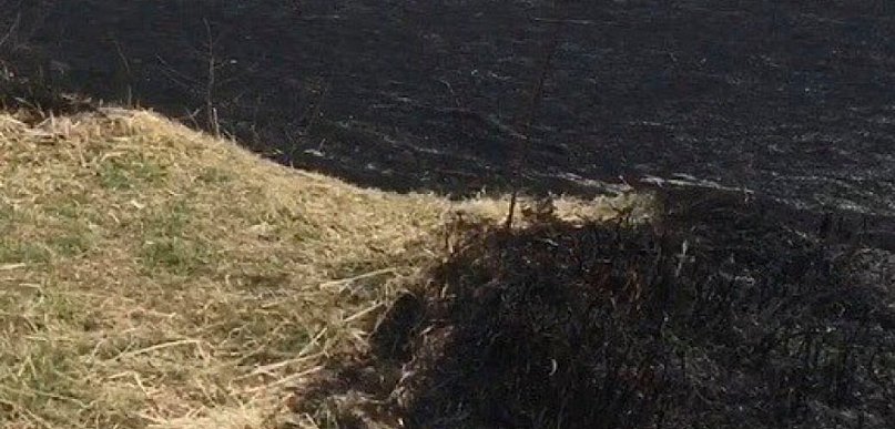 Znów płonęły łąki. Strażacy gasili dwa pożary traw