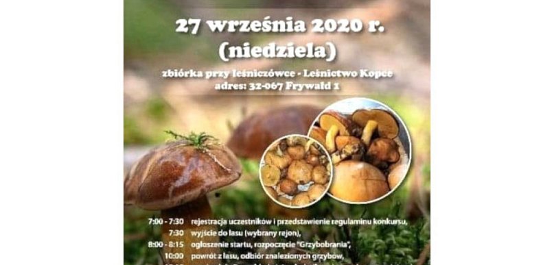 Zapraszają na grzybobranie