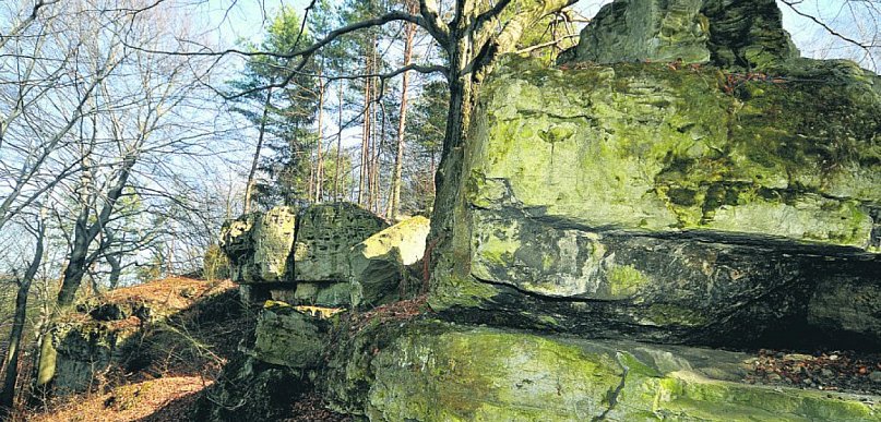  Pięknie i blisko - weekendowy spacer na Cisowe Skały w Czyżówce…