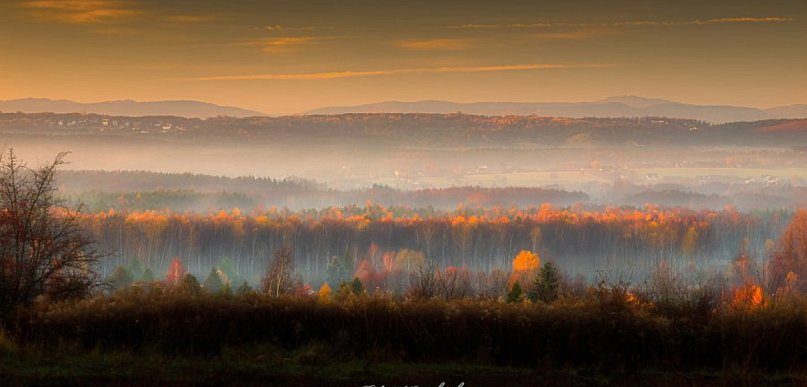  "Magiczna mgła" w obiektywie członków grupy fotograficznej PRZEŁOMOWE…