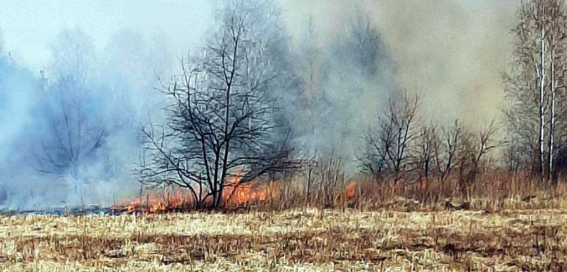 Pożar traw w Filipowicach. Nie żyje kobieta