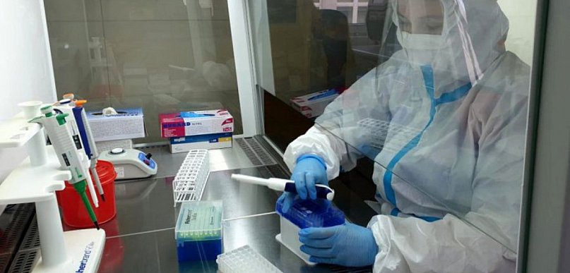 Niedzielski: epidemia zwalnia. W powiecie 13 nowych przypadków