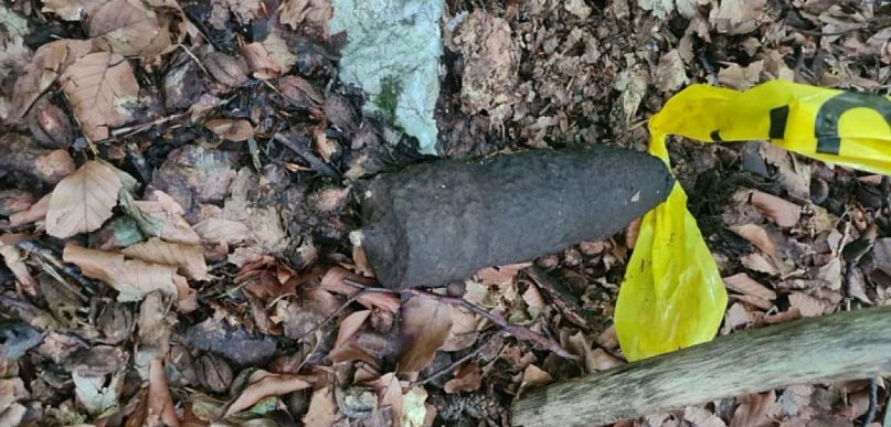 24 cm pocisk artyleryjski w lesie koło Krzeszowic