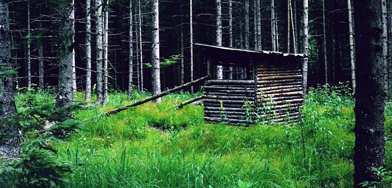 Sprawdź, kiedy będą strzelać w gminie Babice