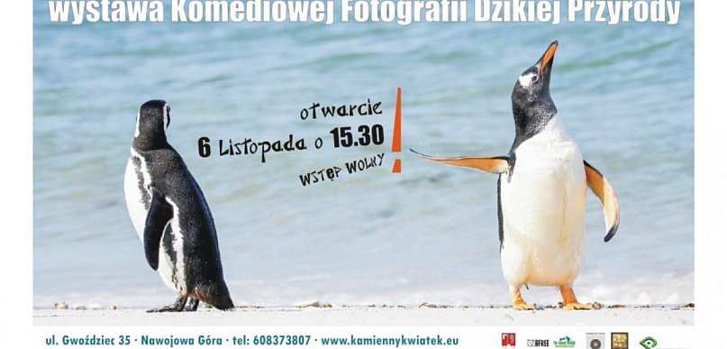 Zwierzęta w zabawnych ujęciach. Pokażą te zdjęcia pierwsi na świecie