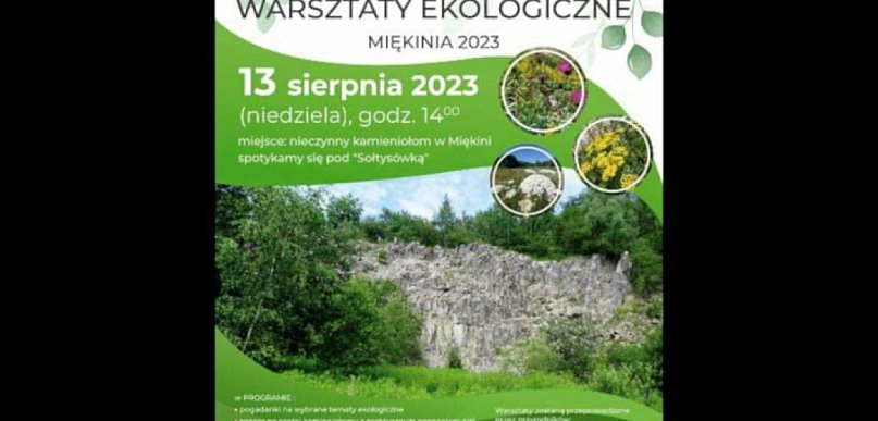Warsztaty ekologiczne w kamieniołomie. Warto tam być