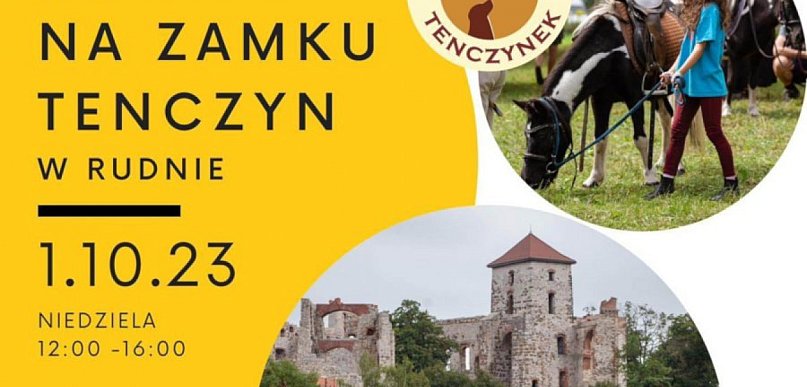 Kucyki na zamku Tenczyn. Charytatywna impreza na rzecz zwierząt