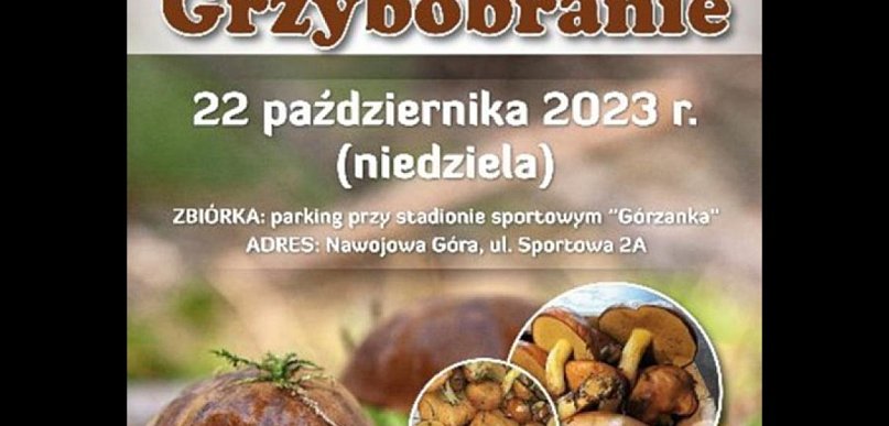 W niedzielę wielkie grzybobranie