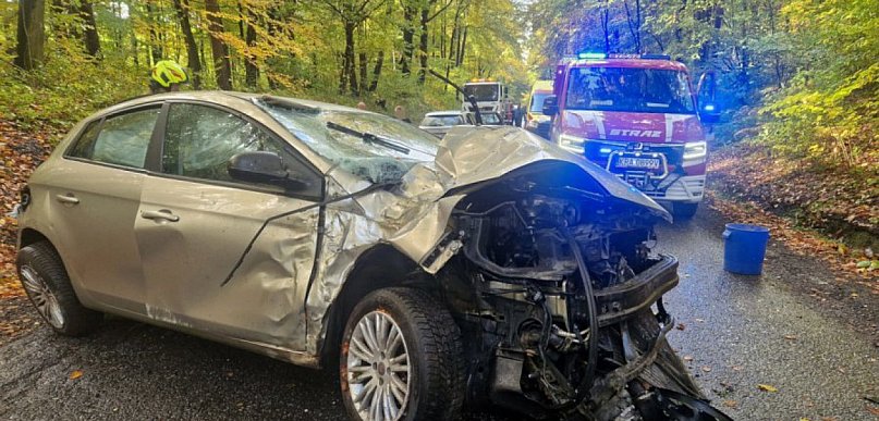 Było ślisko. Kobieta wypadła z drogi i uderzyła w drzewo