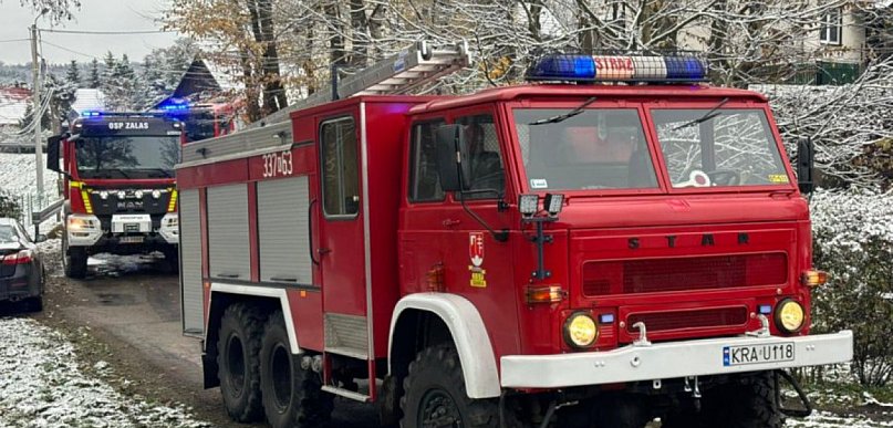 Mężczyzna zginął przygnieciony drzewem