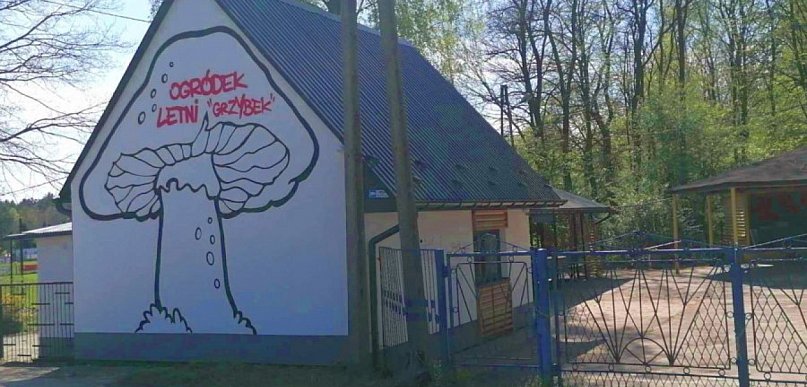 Grzybek w Balinie wygląda jak nowy