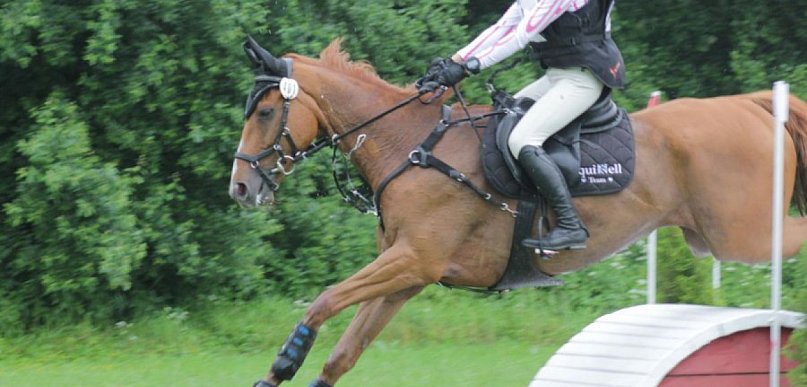 Jeźdźcy konni z Bolęcina z medalami w WKKW