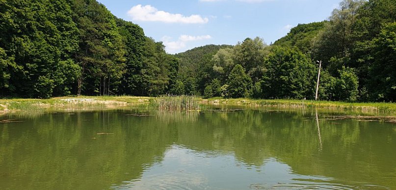 Rózin - domki na wodzie, pstrągi i historia