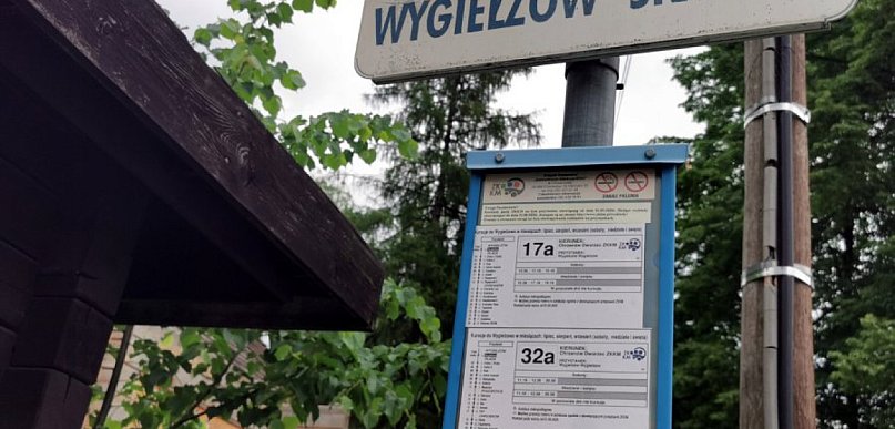 Autobusem ZKKM Chrzanów pod skansen, również na ETNOmanię