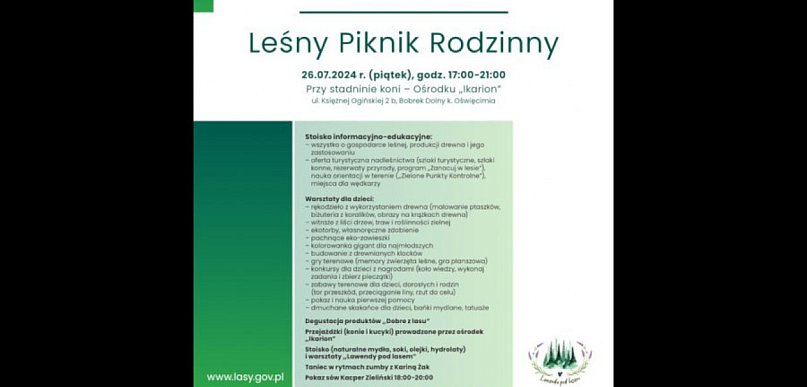 Będzie pokaz sów i przejażdżki na koniach