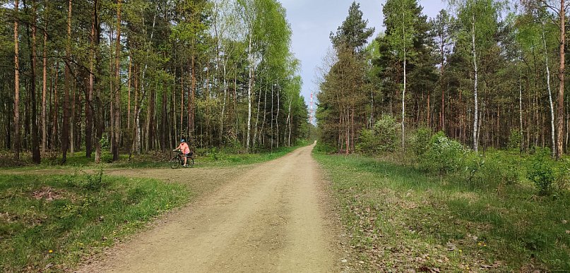 Zielona trasa u sąsiadów w Jaworznie