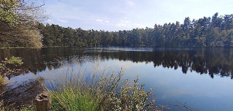 PROPOZYCJA NA ROWER. Przez Puszczę Niepołomicką (ZDJĘCIA)