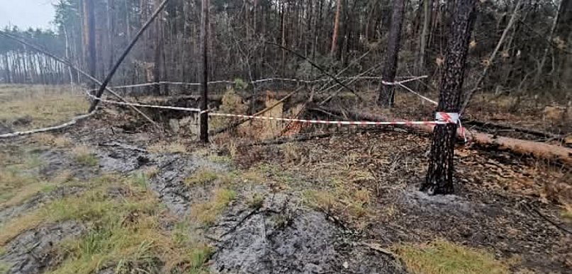 Duże leśne zapadlisko w Jaworznie  
