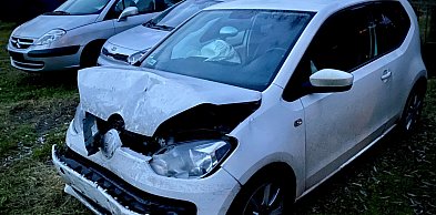 Czy był „bity”? – Panie dbałem jak o dziecko - praktyczny przewodnik 