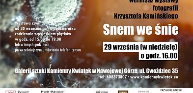 Galeria w Nawojowej Górze zaprasza na ciekawą wystawę-52220