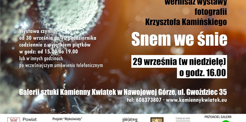 Galeria w Nawojowej Górze zaprasza na ciekawą wystawę - 52220