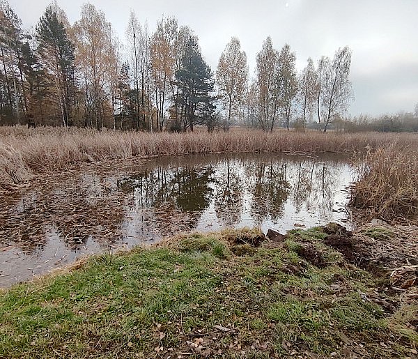 Pół miliona na stawy w Chrzanowie-53426