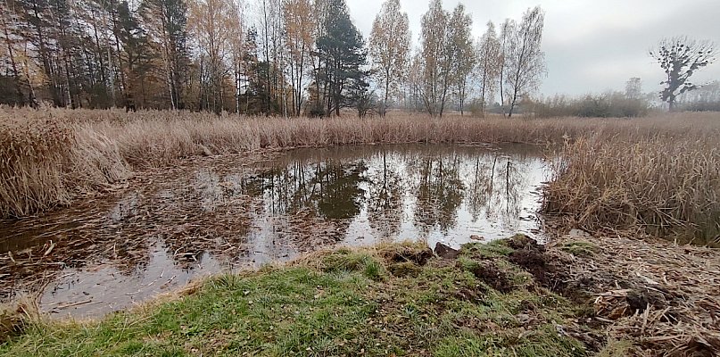 Pół miliona na stawy w Chrzanowie - 53426