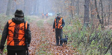 Strzał jest na końcu, a dzik bez limitu-53696