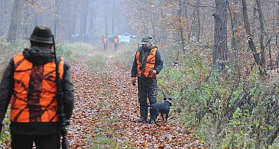 Strzał jest na końcu, a dzik bez limitu-53696