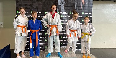 Trzebińscy judocy z medalami w Bielsku Białej -53796