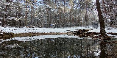 Super spacer do źródeł w Płokach. Będziecie zachwyceni! (ZDJĘCIA)-56089