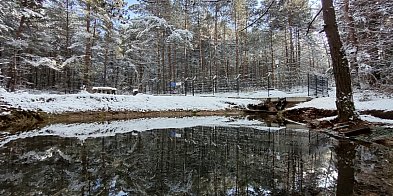 Super spacer do źródeł w Płokach. Będziecie zachwyceni!-56089