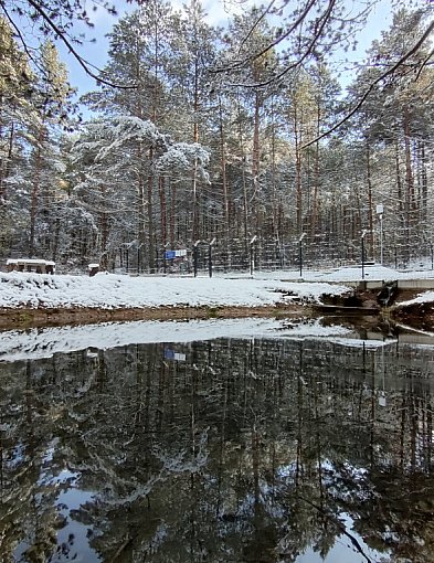 Super spacer do źródeł w Płokach. Będziecie zachwyceni! (ZDJĘCIA)-56089