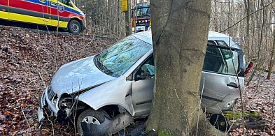 Samochód wypadł z drogi. Kobieta trafiła do szpitala-56094