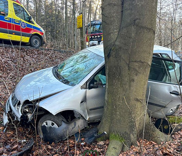 Samochód wypadł z drogi. Kobieta trafiła do szpitala-56094