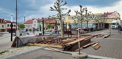 Platany się budzą, ogródki się budują-58665