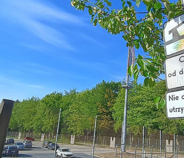 Zmiana organizacji ruchu przy kopułach w Nieporazie. Kierowcy zaskoczeni-58914