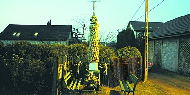 Wykluczona wieś w gminie Chrzanów-59002