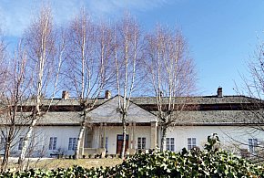 Noc Muzeów z pucybutem i zabytkami-59049